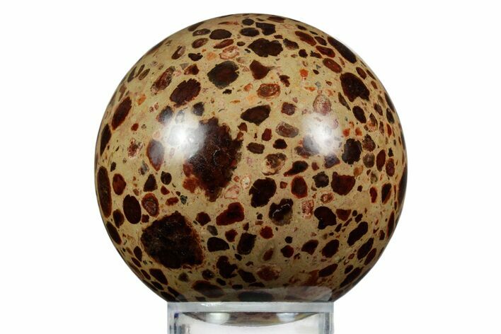 Polished Bauxite (Aluminum Ore) Sphere - Russia #354225
